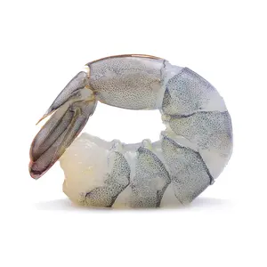 Tôm Sú Nõn Tự Nhiên - Black Tiger Shrimp Shell-Off (200g) - HDC